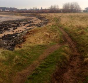 Mixed terrain on route to test the legs