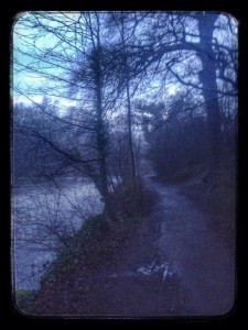 Finding trails in the dark