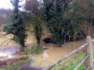 We were supposed to go through this....snorkel & fins anyone?