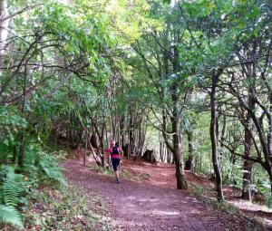 Gorgeous switch back trails heading into New Lanark