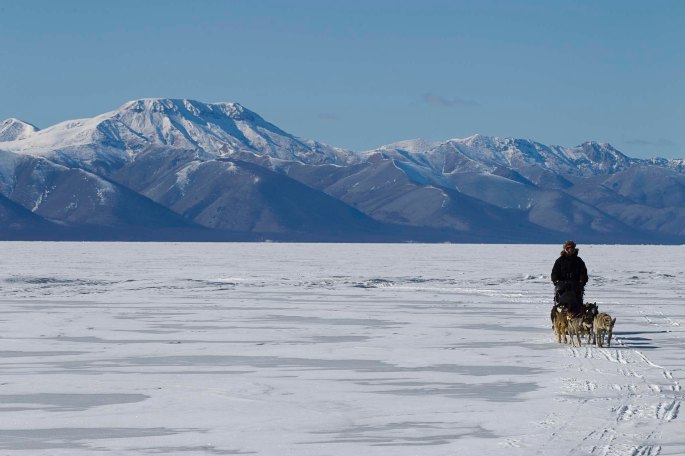 Icy - Photo from Sandbaggers